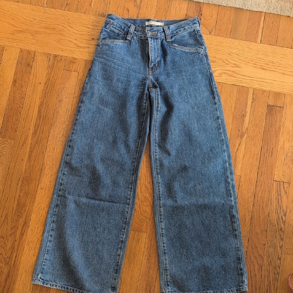 Levis 94 Baggy Wide Leg Jeans Size 24 In Take Chances Color